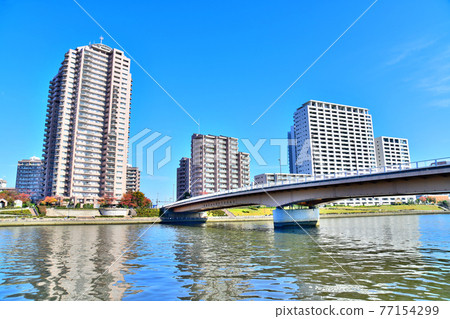 千住潮汐大橋（東京都荒川區）周邊景色 [2020.11] 77154299