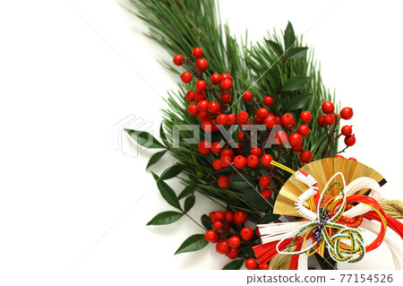 A pine tree 77154526