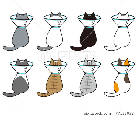 Back view full body set of various cat breeds with Elizabethan collar Back view full body set of various cat breeds with Elizabethan collar 77155038