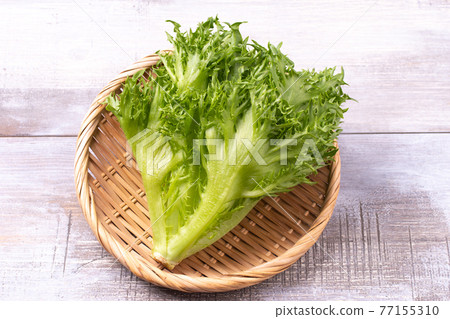 褶邊生菜 77155310