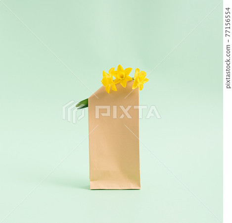 Bouquet of hyacinths flowers in a brown paper bag on a pastel light green background. Minimalist concept. Square 77156554