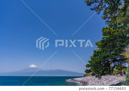 (Shizuoka Prefecture) Mt. Fuji over Oceanazaki (Osezaki) 77156683