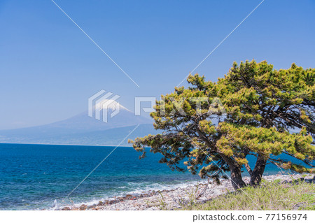 （靜岡縣）尾瀨崎松 海上富士山 77156974