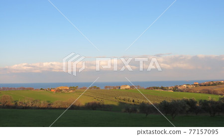 Natural detail Natural detail 77157095