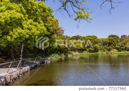 (Shizuoka Prefecture) Ose Shrine in Osezaki, Kamiike (Shizuoka Prefecture) Ose Shrine in Osezaki, Kamiike 77157360