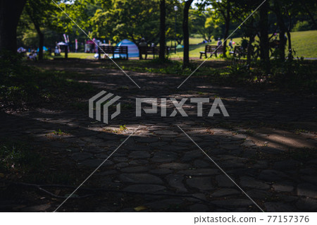 Sunbeams falling on the promenade-color 77157376