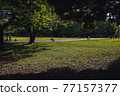Spring sunshine park-color 77157377