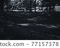 Sunbeams falling on the promenade-monochrome 77157378