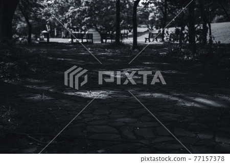 Sunbeams falling on the promenade-monochrome 77157378