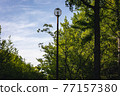 Blue sky, fresh green and street lights-color 77157380