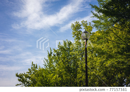 Blue sky, fresh green and street lights-color 77157381