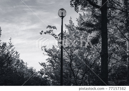 Blue sky, fresh green and streetlights-monochrome 77157382