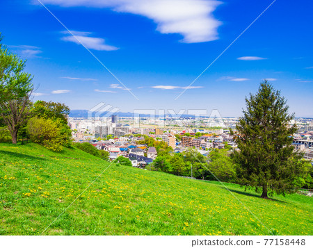 從新鮮的綠色山丘看住宅區 從新鮮的綠色山丘看住宅區 77158448