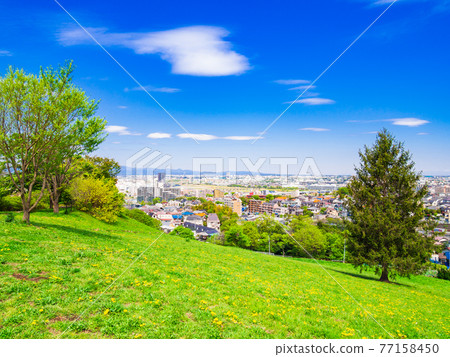 Residential area viewed from the fresh green hill 77158450