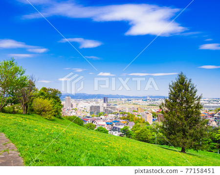 Residential area viewed from the fresh green hill 77158451