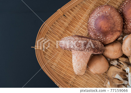 Autumn taste mushroom black background bird's-eye view image material 77159066