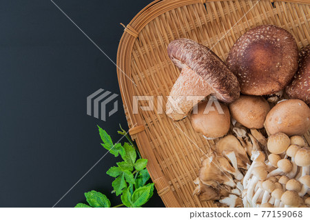 秋味蘑菇黑色背景鳥瞰圖素材 77159068