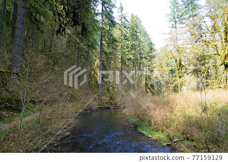 銀瀑布州立公園 銀瀑布州立公園 77159129