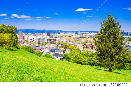 Residential area viewed from the fresh green hill 77160921