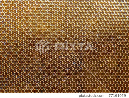 Hexagon Hexagon 77161059