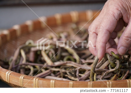 Dried royal fern on a colander 77161117