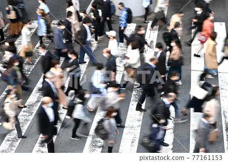 crosswalk crosswalk 77161153