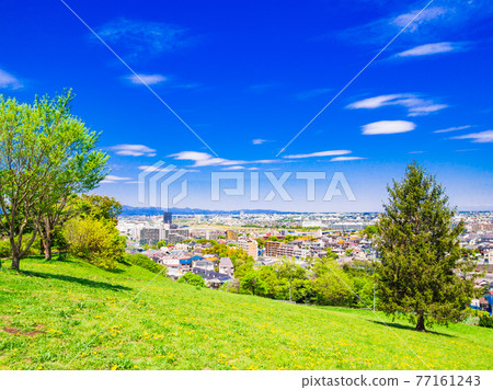 Residential area viewed from the fresh green hill 77161243