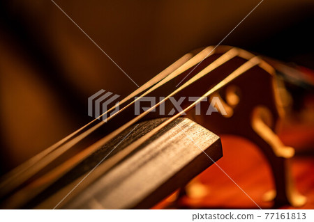 大提琴特寫 大提琴特寫 77161813