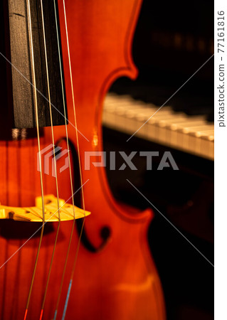 Close-up image of cello 77161816