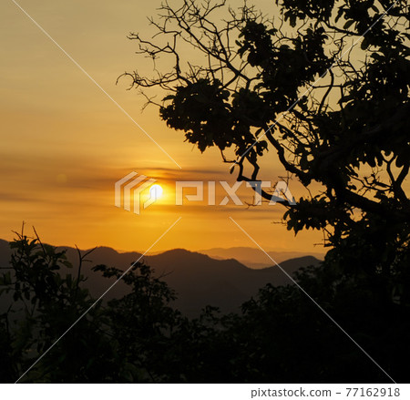 Sunset behind the mountains, the sky is orange of the mountains that are far away, reflecting orange light. Silhouette tree. Sunset behind the mountains, the sky is orange of the mountains that are far away, reflecting orange light. Silhouette tree. 77162918