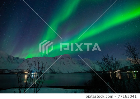 Night when the aurora falls Night when the aurora falls 77163041