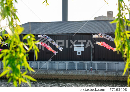 Handa Canal, swimming carp streamer <Handa City, Aichi Prefecture> Handa Canal, swimming carp streamer <Handa City, Aichi Prefecture> 77163408