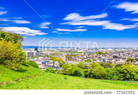 Residential area viewed from the fresh green hill 77163503