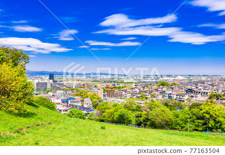 Residential area viewed from the fresh green hill 77163504