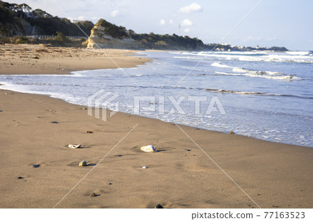 Hitachi City, Ibaraki Prefecture, on the beach 77163523