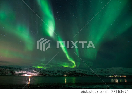 Aurora in the fjord Aurora in the fjord 77163675