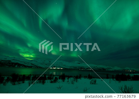 Aurora and us monopolize natural phenomena, 77163679