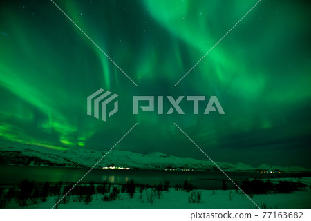 了解綠色世界的那一刻 77163682