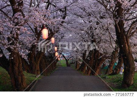 岩手縣北上市市春季展覽館 岩手縣北上市市春季展覽館 77163777