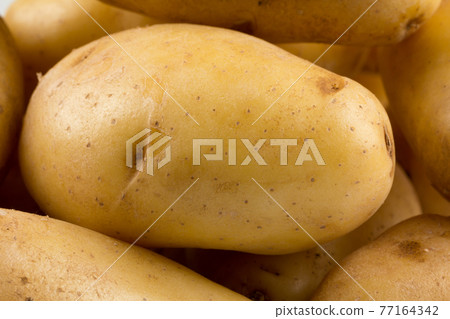New potato isolated New potato isolated 77164342