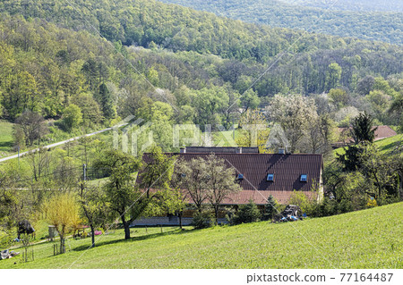 Rural landscape, Slovakia, spring time 77164487