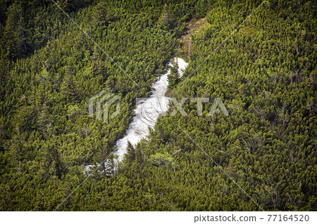 Snow field, Little Fatra, Slovakia 77164520
