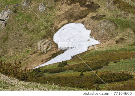 Snow field, Little Fatra, Slovakia 77164600
