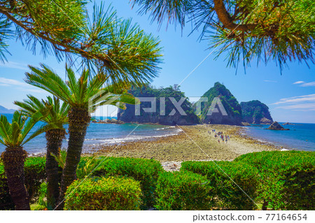 [靜岡縣] 西伊豆堂島 Tonboro Phenomenon 三四郎島 77164654