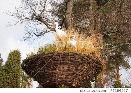 KOTKA, FINLAND - OCTOBER 23, 2018: White artificial storks in the nest as a part of a landscape design in the water park Sapokka. Kotka, Finland 77164937