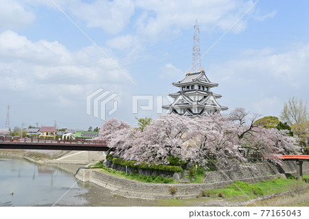 Sunomata Ichiya Castle Cherry Blossoms and Sky Sunomata Ichiya Castle Cherry Blossoms and Sky 77165043