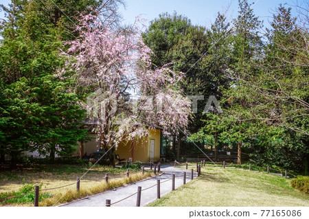 Sugekari Park (adjacent to Saigoyama Park, Aobadai, Meguro-ku) built on the site of Saigo Judo Residence Sugekari Park (adjacent to Saigoyama Park, Aobadai, Meguro-ku) built on the site of Saigo Judo Residence 77165086