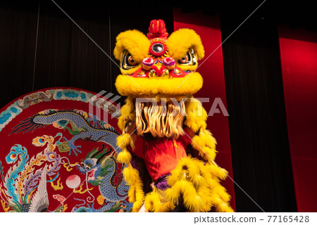 Vivid Chinese lion dance Vivid Chinese lion dance 77165428