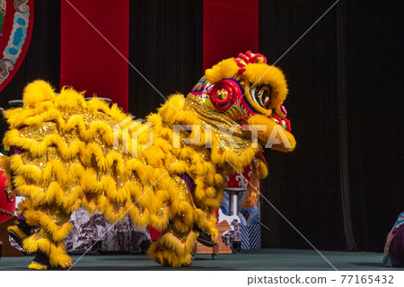 生動的中國舞獅 生動的中國舞獅 77165432