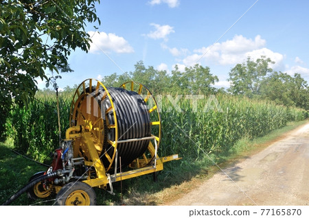 Water sprinkler installation in a field 77165870